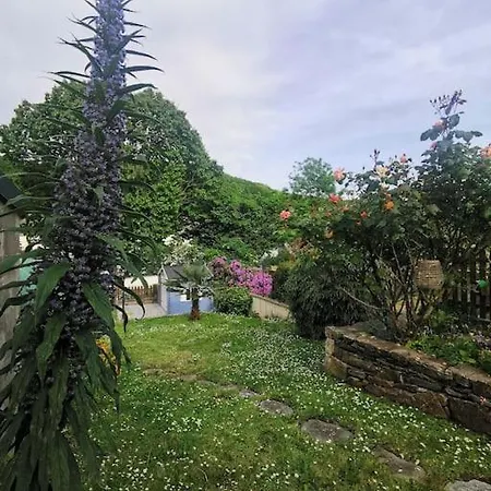Vespa Casa